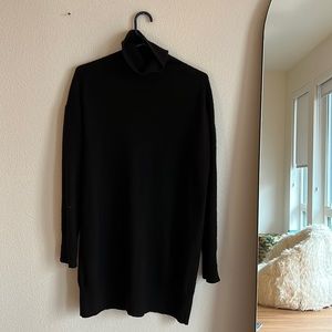 Everlane 100% Cashmere Turtleneck Dress